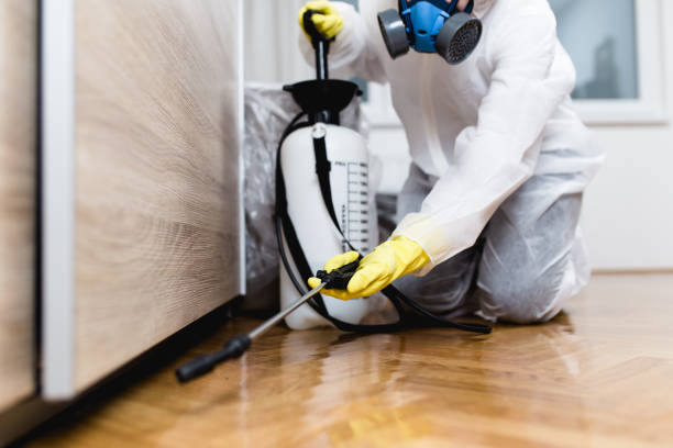 Best Termite Control Services  in Morris, AL
