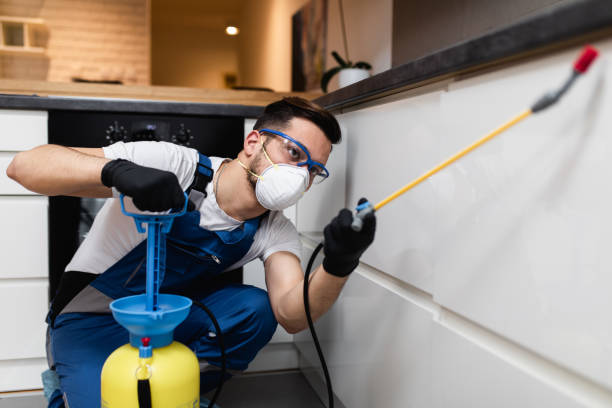 Best Cockroach Control Services  in Morris, AL
