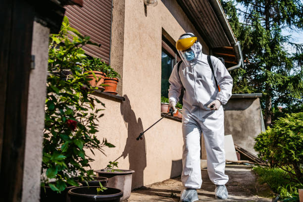 Flea Control Services in Morris, AL