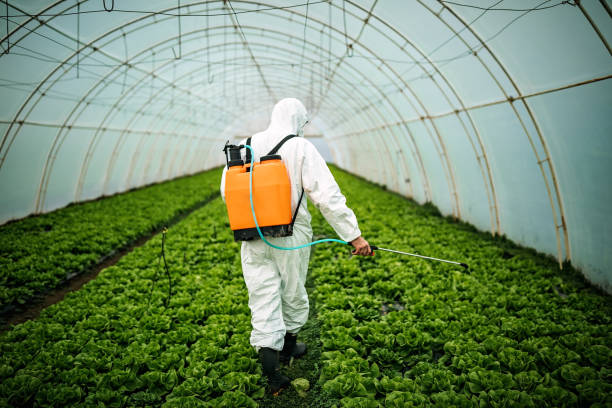 Best Emergency Pest Control  in Morris, AL