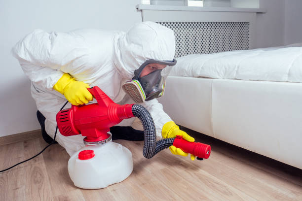 Best Flea Control Services  in Morris, AL