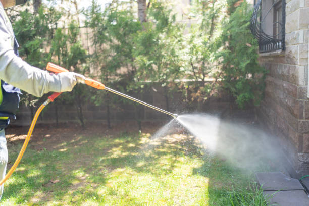 Best Pest Removal Services  in Morris, AL