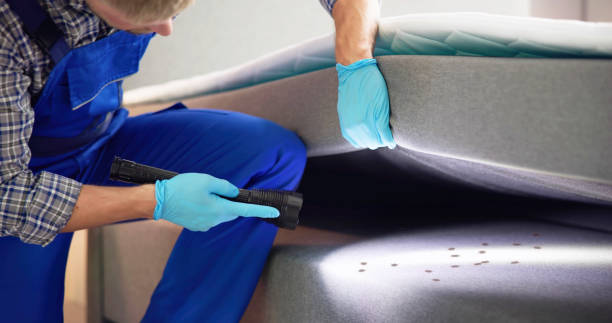Best Pest Inspection Near Me  in Morris, AL