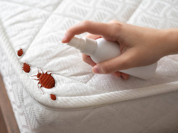 Best Insect Control  in Morris, AL