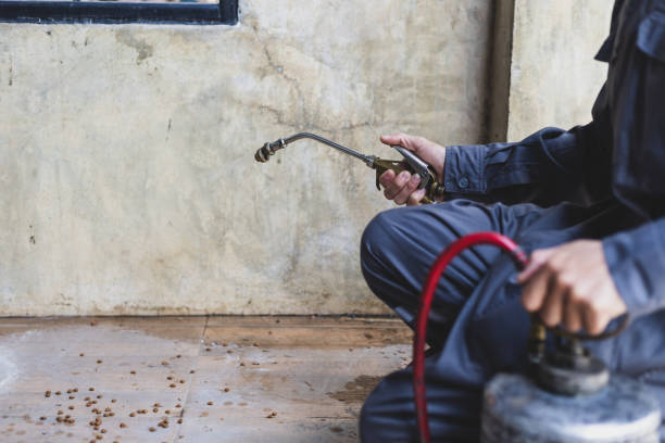 Professional Pest Control in Morris, AL